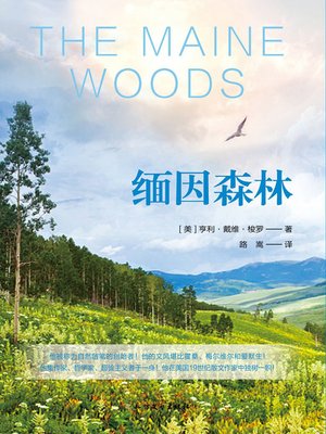 cover image of 缅因森林